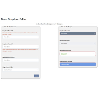 CSS Formular und Retouren Manager