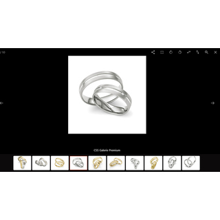 CSS Galerie Premium